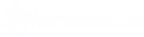 NXT Automotive
